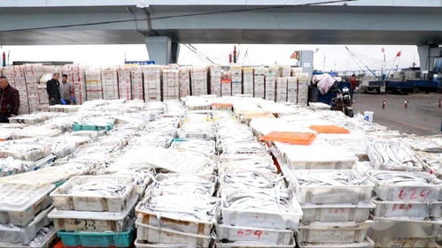 海鮮市場(chǎng)的 傲嬌 價(jià)格幫你問(wèn)好了,看完別流口水